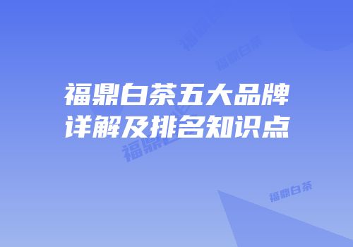 福鼎白茶五大品牌详解及排名知识点
