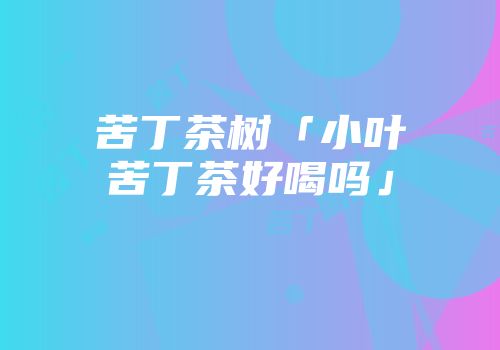 苦丁茶树「小叶苦丁茶好喝吗」