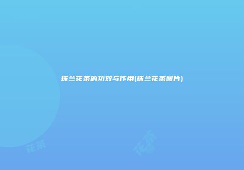 珠兰花茶的功效与作用(珠兰花茶图片)
