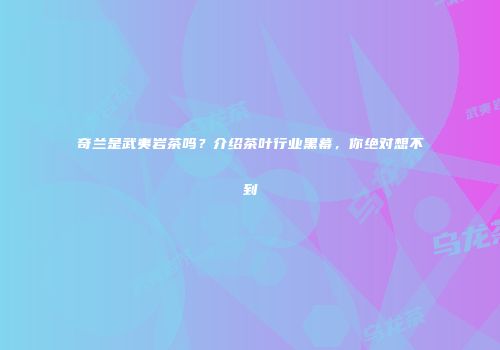 奇兰是武夷岩茶吗？介绍茶叶行业黑幕，你绝对想不到