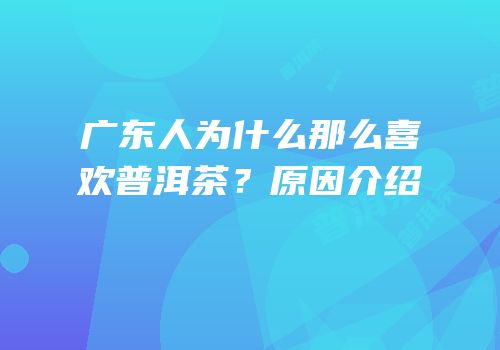 广东人为什么那么喜欢普洱茶？原因介绍