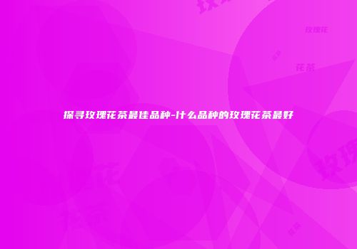 探寻玫瑰花茶最佳品种-什么品种的玫瑰花茶最好