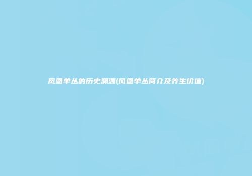 凤凰单丛的历史渊源(凤凰单丛简介及养生价值)