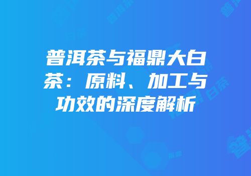 普洱茶与福鼎大白茶：原料、加工与功效的深度解析