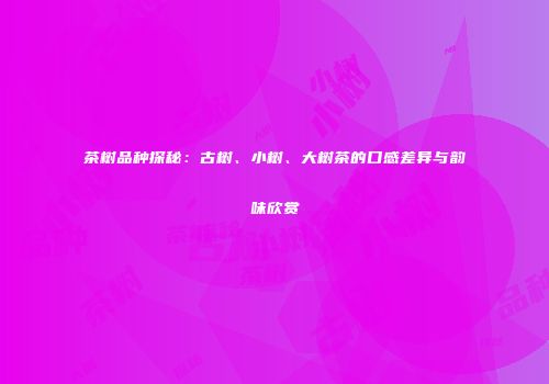 茶树品种探秘：古树、小树、大树茶的口感差异与韵味欣赏