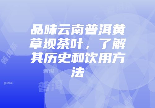 品味云南普洱黄草坝茶叶，了解其历史和饮用方法