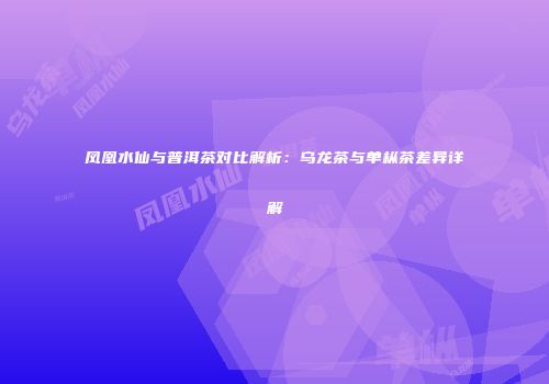 凤凰水仙与普洱茶对比解析：乌龙茶与单枞茶差异详解