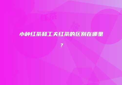 小种红茶和工夫红茶的区别在哪里？