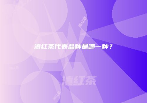 滇红茶代表品种是哪一种？