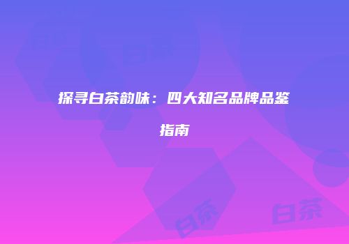 探寻白茶韵味：四大知名品牌品鉴指南