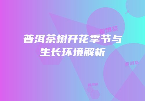 普洱茶树开花季节与生长环境解析