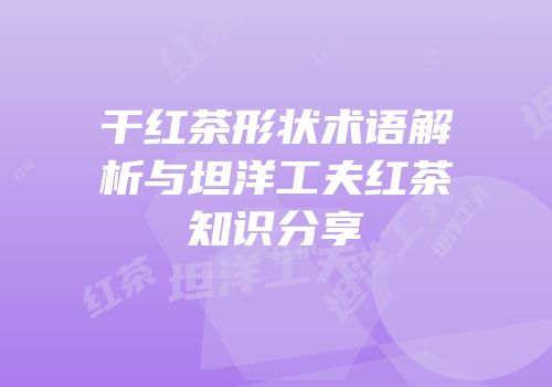 干红茶形状术语解析与坦洋工夫红茶知识分享