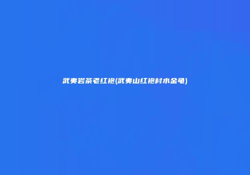 武夷岩茶老红袍(武夷山红袍村水金龟)