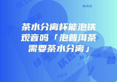 茶水分离杯能泡铁观音吗「泡普洱茶需要茶水分离」