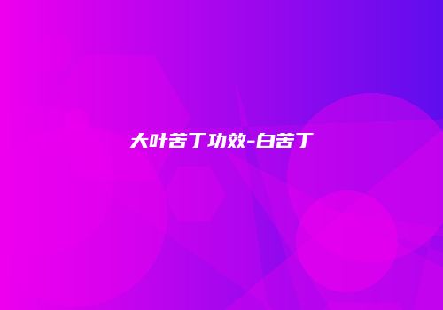 大叶苦丁功效-白苦丁