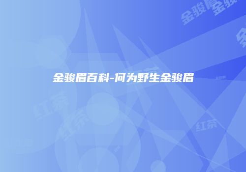 金骏眉百科-何为野生金骏眉