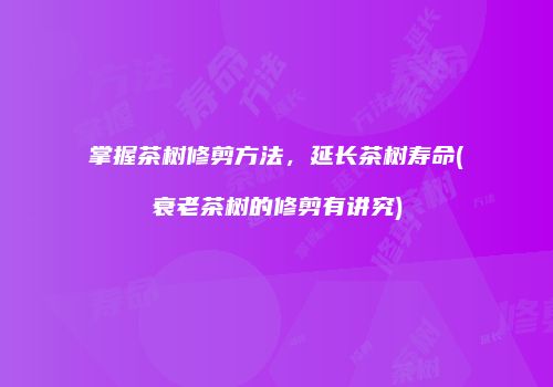 掌握茶树修剪方法，延长茶树寿命(衰老茶树的修剪有讲究)