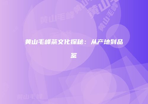 黄山毛峰茶文化探秘：从产地到品鉴