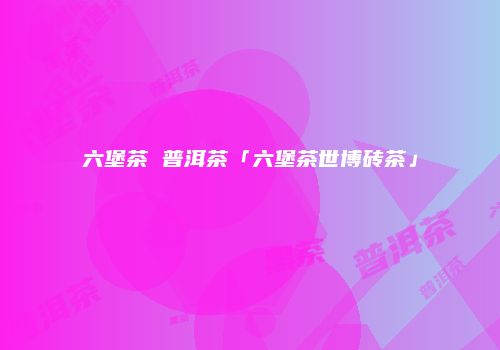 六堡茶 普洱茶「六堡茶世博砖茶」