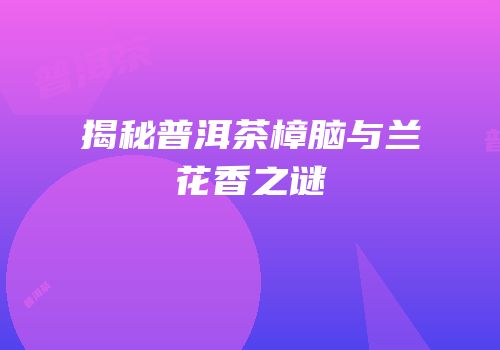 揭秘普洱茶樟脑与兰花香之谜