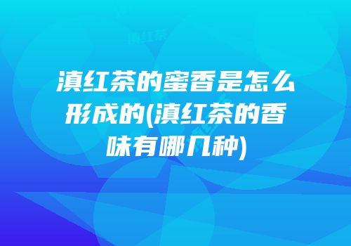 滇红茶的蜜香是怎么形成的(滇红茶的香味有哪几种)