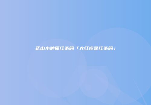正山小种属红茶吗「大红袍是红茶吗」