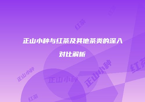 正山小种与红茶及其他茶类的深入对比解析