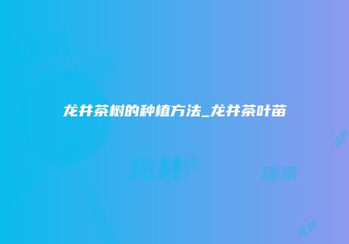 龙井茶树的种植方法_龙井茶叶苗