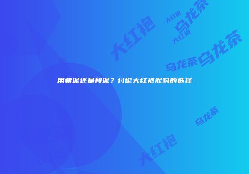用紫泥还是段泥？讨论大红袍泥料的选择