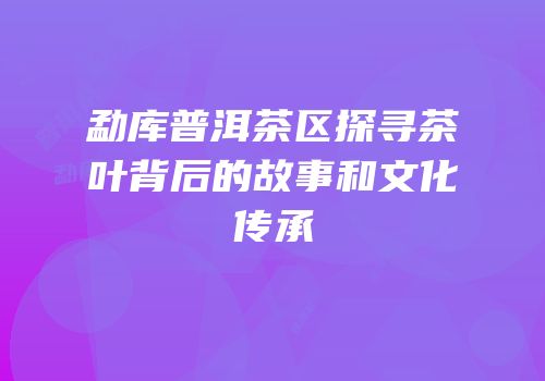 勐库普洱茶区探寻茶叶背后的故事和文化传承