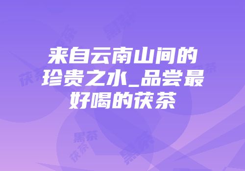 来自云南山间的珍贵之水_品尝最好喝的茯茶