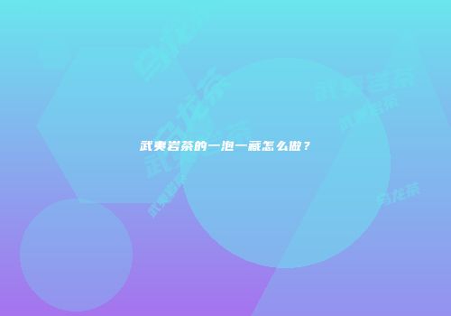 武夷岩茶的一泡一藏怎么做？