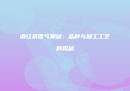滇红茶香气奥秘：品种与加工工艺的揭秘