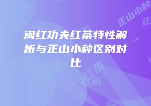 闽红功夫红茶特性解析与正山小种区别对比