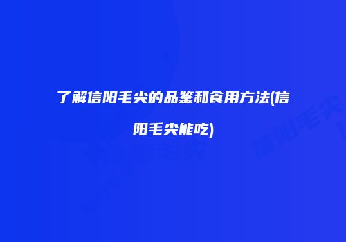 了解信阳毛尖的品鉴和食用方法(信阳毛尖能吃)