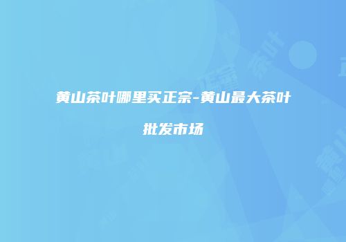 黄山茶叶哪里买正宗-黄山最大茶叶批发市场