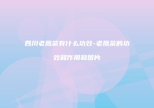 四川老鹰茶有什么功效-老鹰茶的功效和作用和图片