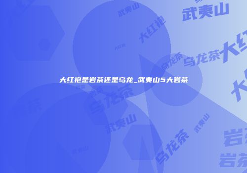 大红袍是岩茶还是乌龙_武夷山5大岩茶
