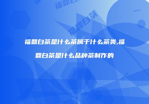 福鼎白茶是什么茶属于什么茶类,福鼎白茶是什么品种茶制作的