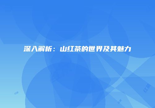 深入解析：山红茶的世界及其魅力