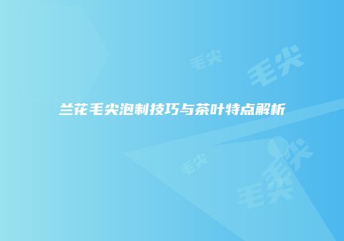 兰花毛尖泡制技巧与茶叶特点解析