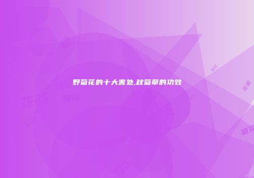 野菊花的十大害处,秋菊草的功效