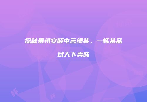 探秘贵州安顺屯茗绿茶，一杯茶品尽天下美味