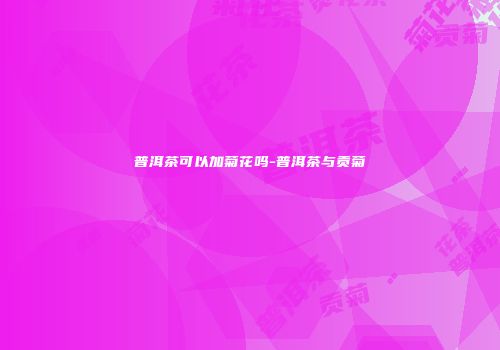 普洱茶可以加菊花吗-普洱茶与贡菊