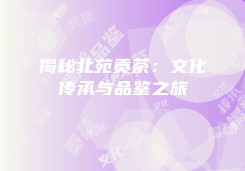 揭秘北苑贡茶：文化传承与品鉴之旅
