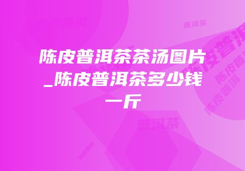 陈皮普洱茶茶汤图片_陈皮普洱茶多少钱一斤