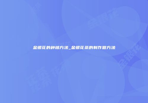 金银花的种植方法_金银花茶的制作做方法