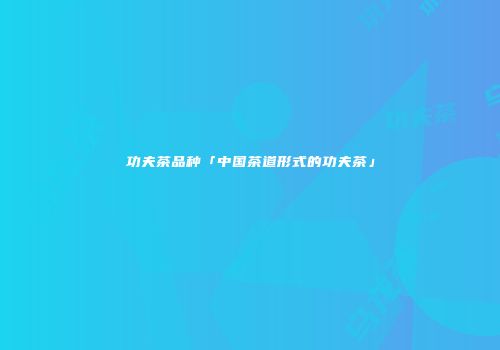 功夫茶品种「中国茶道形式的功夫茶」