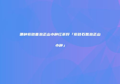 哪种紫砂壶泡正山小种红茶好「紫砂石瓢泡正山小种」