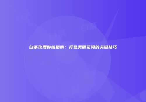 白茶玫瑰种植指南：打造美丽花海的关键技巧
